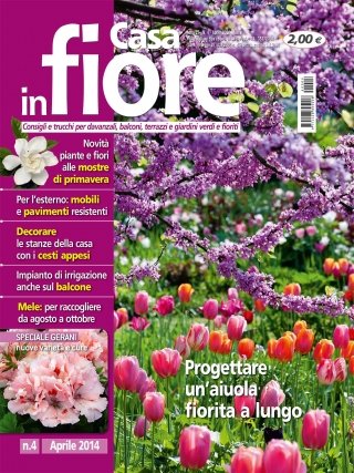 cover-cif-04 cover-cif-04