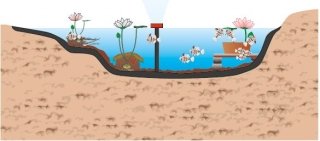 5. Si finisca di riempire il laghetto d’acqua e si ricollochino pesci e piante. 5. Si finisca di riempire il laghetto d’acqua e si ricollochino pesci e piante.