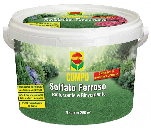 Compo Solfato Ferroso è un concime a base di ferro dall’efficace azione contro il muschio oltre che rinverdente. Conf. da 5 kg costa 9,80 euro di Compo - www.compo-hobby.it Compo Solfato Ferroso è un concime a base di ferro dall’efficace azione contro il muschio oltre che rinverdente. Conf. da 5 kg costa 9,80 euro di Compo - www.compo-hobby.it