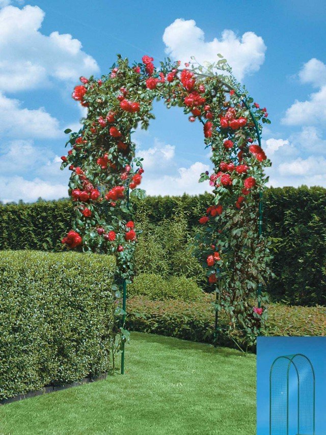 Arcoflor 60 di Betafence è l'arcata componibile per piante arrampicanti, composta da pali in acciaio zincati con rivestimento finale in poliestere e pannelli in rete elettrosaldata Arcoflor 60 di Betafence è l'arcata componibile per piante arrampicanti, composta da pali in acciaio zincati con rivestimento finale in poliestere e pannelli in rete elettrosaldata