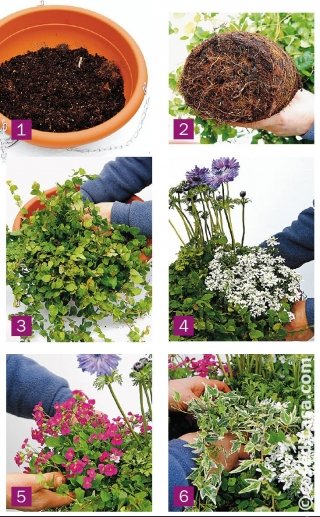 fioriera-appesa-amstudio