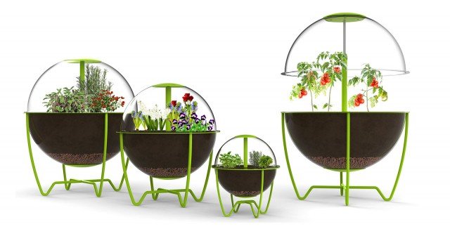 La serra Globe disegnata da Enrico Azzimonti ha un’insolita forma sferica; è realizzata in plexiglass e ha la struttura in tubo metallico: permette di coltivare un mini orto sul balcone anche se di dimensioni contenute. É disponibile in tre dimensioni. Prezzo su richiesta. HYPERLINK "http://www.enricoazzimonti.it" www.enricoazzimonti.it La serra Globe disegnata da Enrico Azzimonti ha un’insolita forma sferica; è realizzata in plexiglass e ha la struttura in tubo metallico: permette di coltivare un mini orto sul balcone anche se di dimensioni contenute. É disponibile in tre dimensioni. Prezzo su richiesta. HYPERLINK "http://www.enricoazzimonti.it" www.enricoazzimonti.it