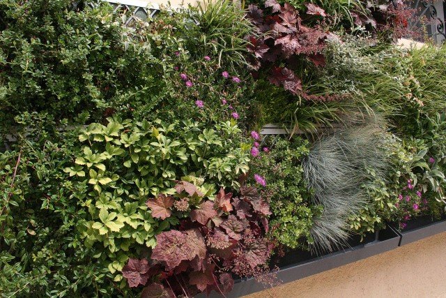 Il rivestimento vegetale è una controparete composta da una cortina inverdita modulare e da un sistema reticolare, completo di irrigazione. Sistema Perliwall di Perlite Italiana, , www.perlite.it Il rivestimento vegetale è una controparete composta da una cortina inverdita modulare e da un sistema reticolare, completo di irrigazione. Sistema Perliwall di Perlite Italiana, , www.perlite.it