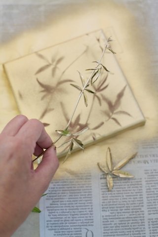 foto-5-quadro-nat-S.Chiarugi foto-5-quadro-nat-S.Chiarugi