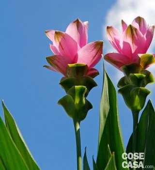 test-settembre-amstudio test-settembre-amstudio