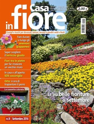 CIF09_cover CIF09_cover