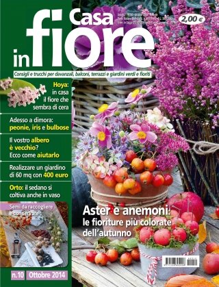 CIF10-cover CIF10-cover