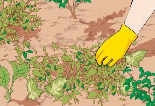 eliminare sassi orto