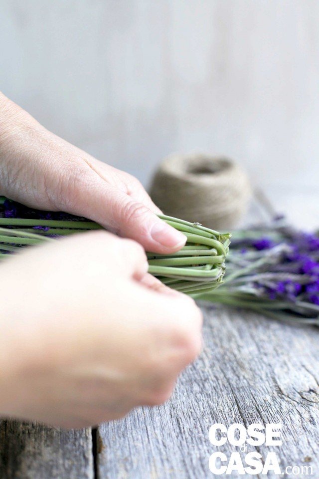 Raccogliere le spighe di lavanda e pulire il gambo dal fogliame. Raccogliere le spighe di lavanda e pulire il gambo dal fogliame.