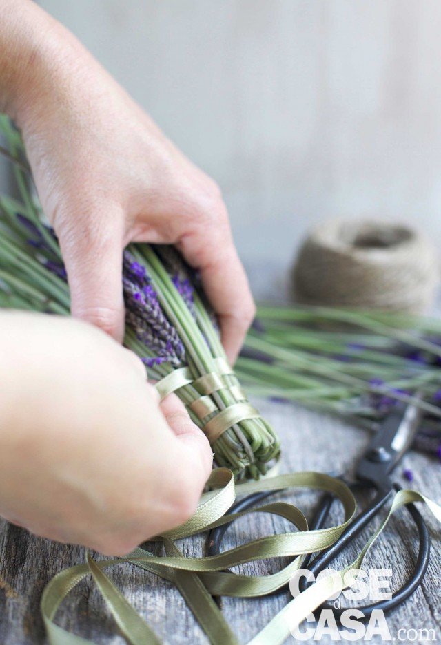 Fermare con un elastico e passare un nastrino di raso attraverso i gambi della lavanda a intervalli regolari, solitamente se ne passano due o tre, tessendo una sorta di trama di gambi e raso Fermare con un elastico e passare un nastrino di raso attraverso i gambi della lavanda a intervalli regolari, solitamente se ne passano due o tre, tessendo una sorta di trama di gambi e raso