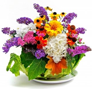 mazzo-nella-verza mazzo-nella-verza