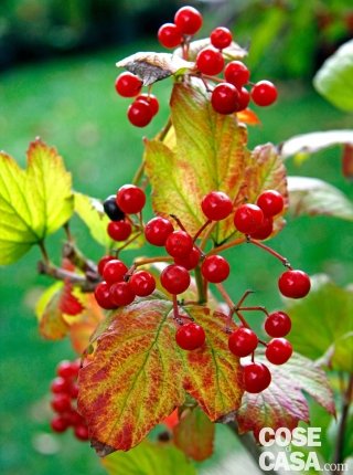 test_ottobre test_ottobre