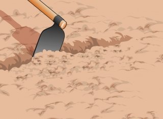 zappatura e concime orto