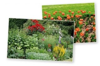 11-sommario-novembre 11-sommario-novembre