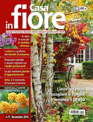 CIF11_cover CIF11_cover