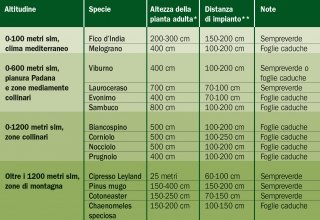 tabella specie siepe altitudine tabella specie siepe altitudine