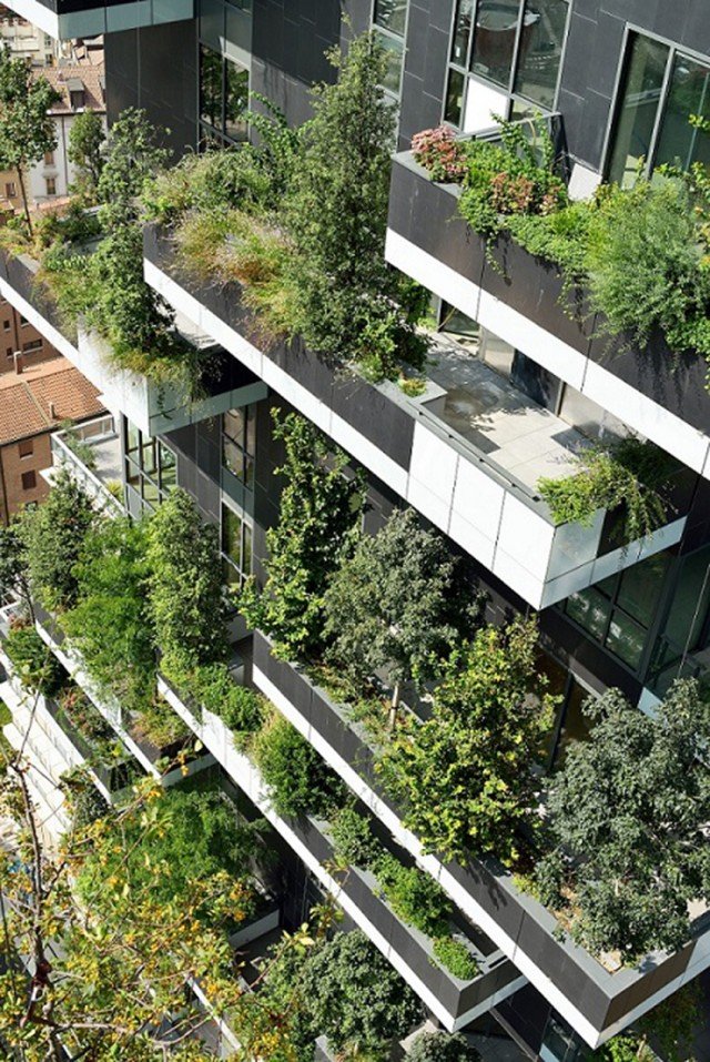 1bosco-verticale 1bosco-verticale