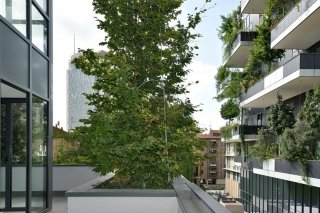 4bosco-verticale 4bosco-verticale