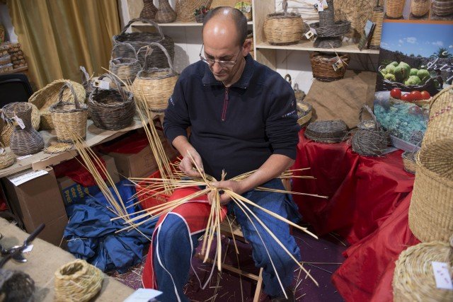 AF Puglia AF Puglia