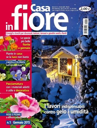 CIF01_cover CIF01_cover