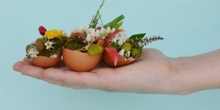 Centrotavola di Pasqua: mini vasi fioriti con gusci di uova