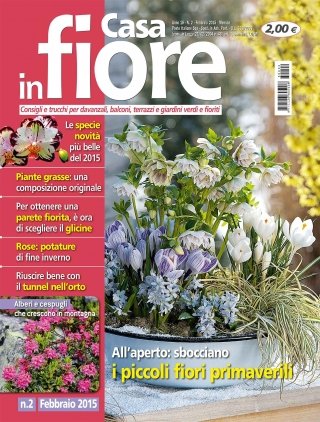 CIF02-cover CIF02-cover