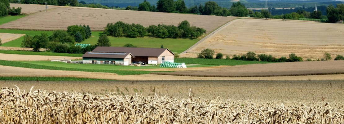 Come Sfruttare Un Terreno Di 1000 Mq