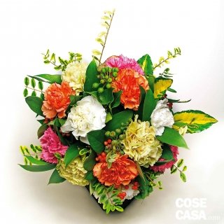 mazzo garofani mazzo garofani