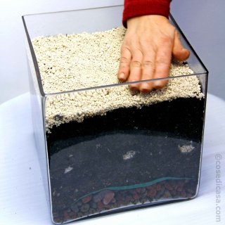 piantare bulbose fiorite piantare bulbose fiorite