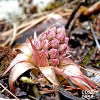 test-febbraio test-febbraio