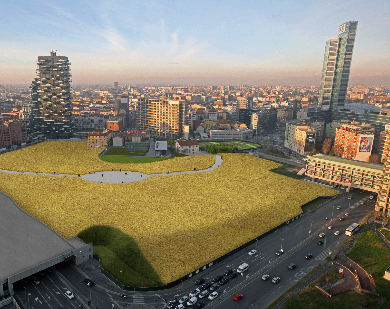 Spunta un campo di grano tra i grattacieli di Milano
