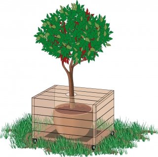 collocare vaso con pianta e rotelle per nascondere tombino