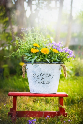White,Bucket,With,Garden,Flowers,On,Red,Little,Stool,Over
