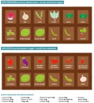 semina orto primavera e estate - ortaggi e produzione mq