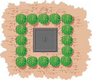 siepe morbida nascondere tombino