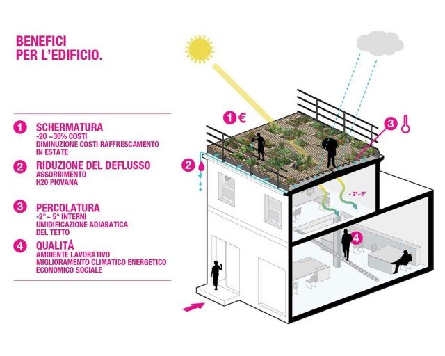 Il progetto, realizzato in collaborazione con Vivai Mandelli e VerdeVivo, è replicabile in altri contesti. Per info su progettazione e impianto, www.mandelligroup.com Il progetto, realizzato in collaborazione con Vivai Mandelli e VerdeVivo, è replicabile in altri contesti. Per info su progettazione e impianto, www.mandelligroup.com