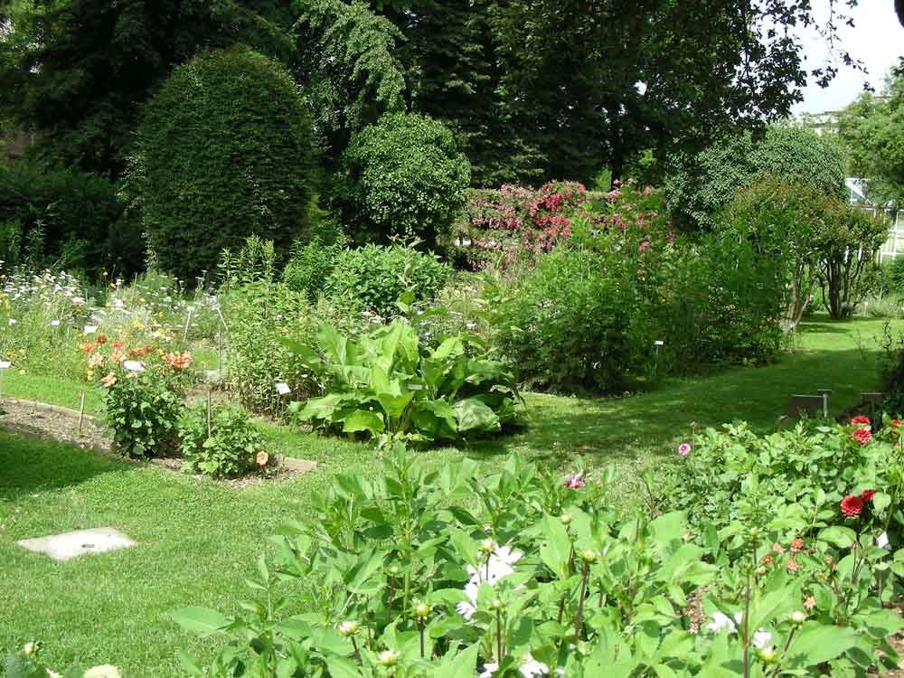 Orto-Botanico-di-Torino-angolo Orto-Botanico-di-Torino-angolo