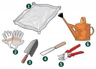 attrezzatura e strumenti rinvasi piante attrezzatura e strumenti rinvasi piante