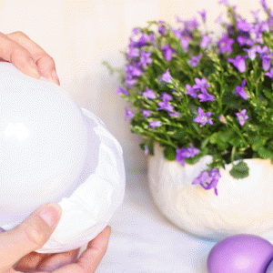 fig-4-ph.-S.C.- fig-4-ph.-S.C.-