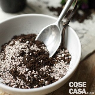 kokedama-3 kokedama-3