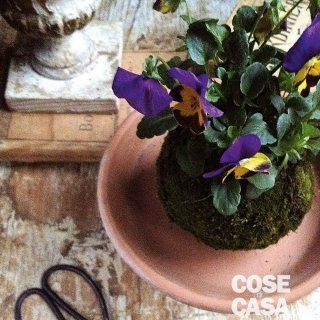 kokedama-6 kokedama-6