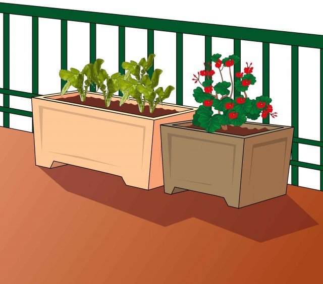 vasi con le piante orticole sul balcone vasi con le piante orticole sul balcone