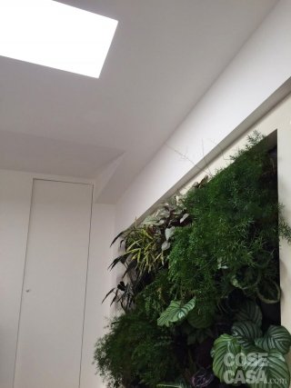 9-LUCERNARIO 9-LUCERNARIO