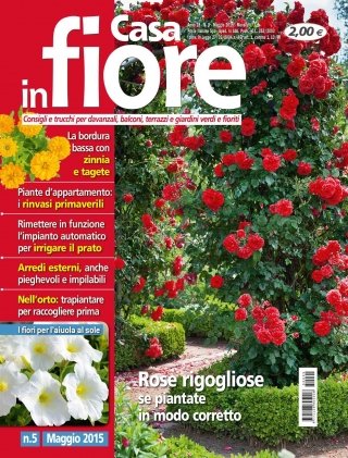 CIF05-cover CIF05-cover