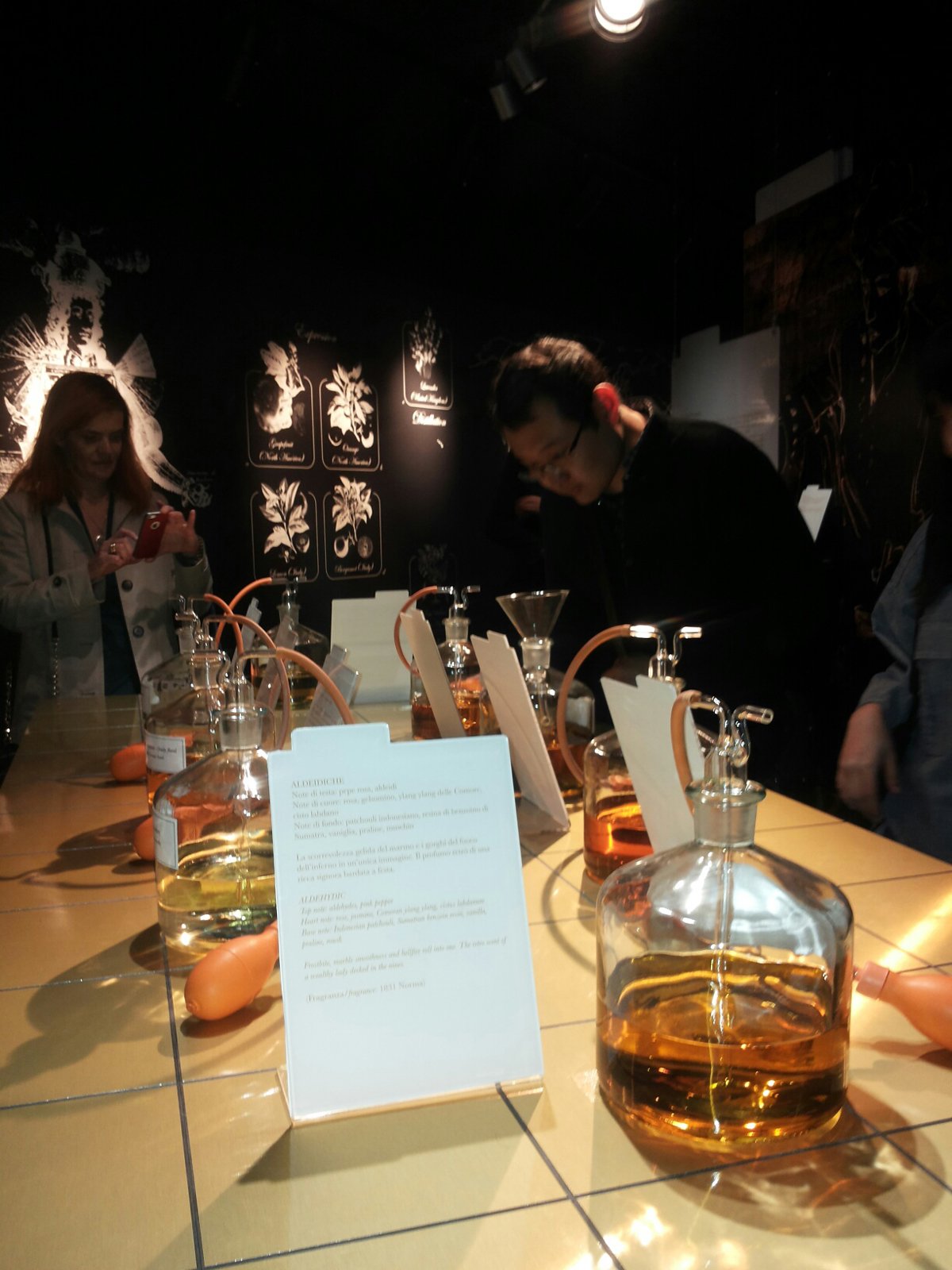 The Garden of Wonders, Orto botanico a Brera The Garden of Wonders, Orto botanico a Brera