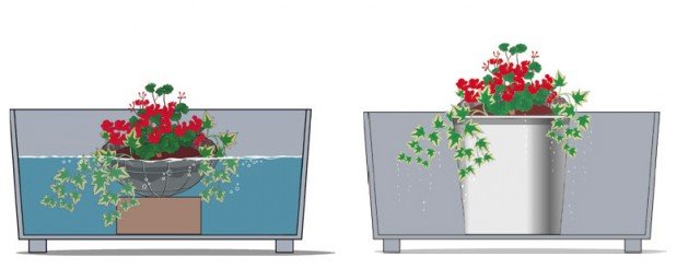 Per bagnature delle piante ricadenti complete che regalino qualche giorno di autonomia, soprattutto nei mesi caldi, si può riempire un capiente contenitore (o la vasca da bagno) con acqua a temperatura ambiente; si immerge il basket e lo si lascia fino a quando il terriccio non sia saturo d’acqua. Quindi si fa scolare il contenitore e si riappende. Per bagnature delle piante ricadenti complete che regalino qualche giorno di autonomia, soprattutto nei mesi caldi, si può riempire un capiente contenitore (o la vasca da bagno) con acqua a temperatura ambiente; si immerge il basket e lo si lascia fino a quando il terriccio non sia saturo d’acqua. Quindi si fa scolare il contenitore e si riappende.