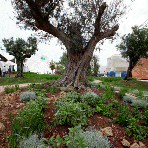 11049443_10153000590034480_9055715888448778367_o 11049443_10153000590034480_9055715888448778367_o