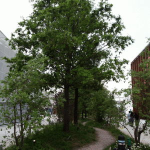 11249314_10153000590024480_7827921347459247154_o 11249314_10153000590024480_7827921347459247154_o