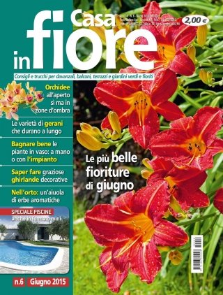 CIF06-cover CIF06-cover