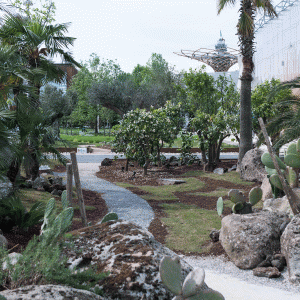 EXPO2015_PARCO_004 EXPO2015_PARCO_004